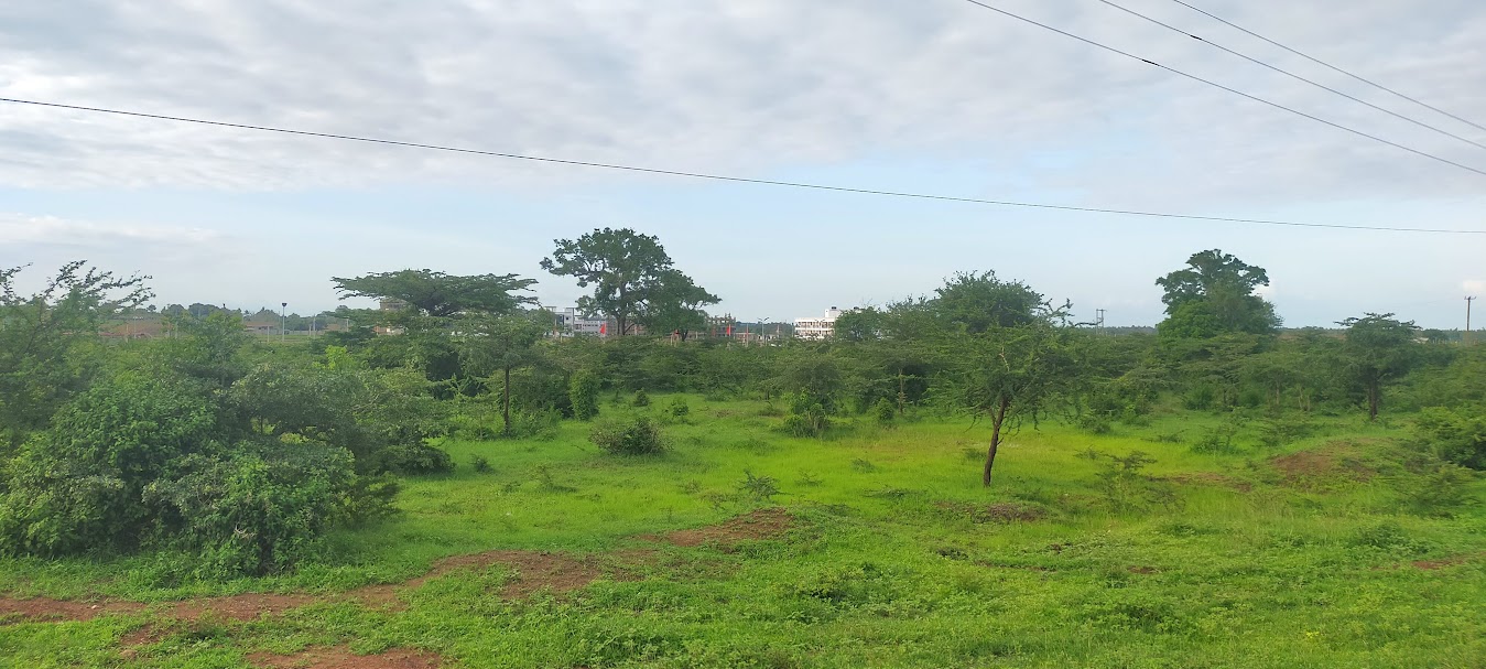 oppo_0 Mavueni Phase2 plots Kilifi