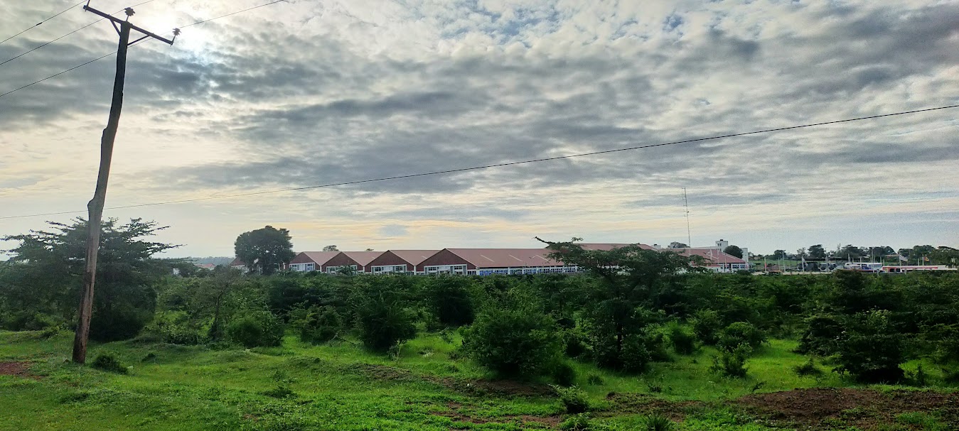 oppo_0 Mavueni Phase2 plots Kilifi